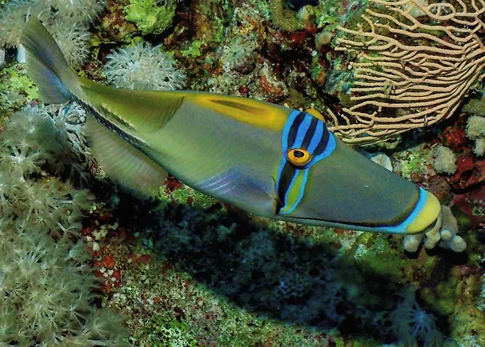 Enosis - Poseidon Full Sea View Apartment *